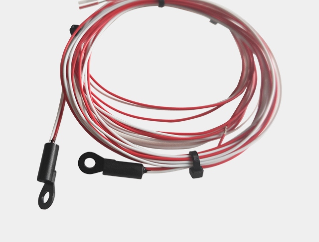 Custom platinum resistance thermometer PT1000 RTD sensor
